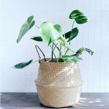 Wicker Foldable Planter Basket